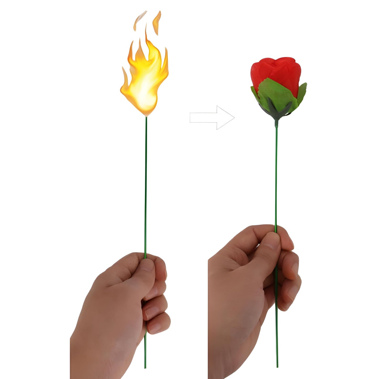 Torch to Rose Magic Trick