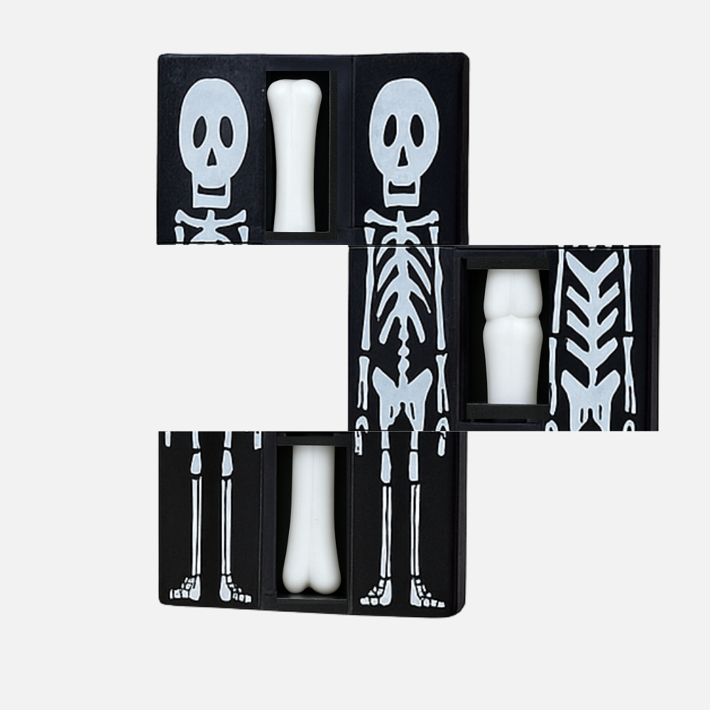 Three-part Zig-Zag box showing bone separated in the middle