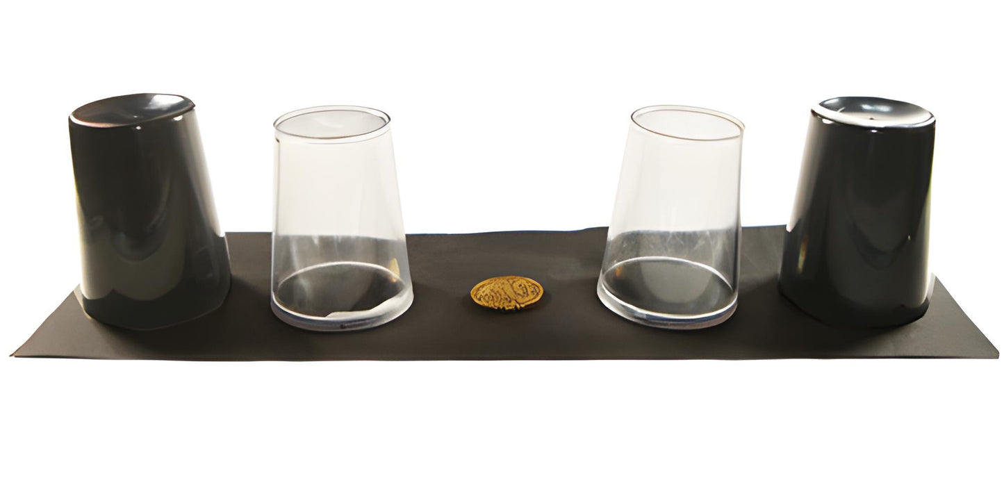 Mystical Cups Coin Magic Trick