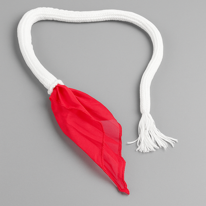 Rope to Silk
