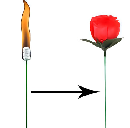 Torch to Rose Magic Trick